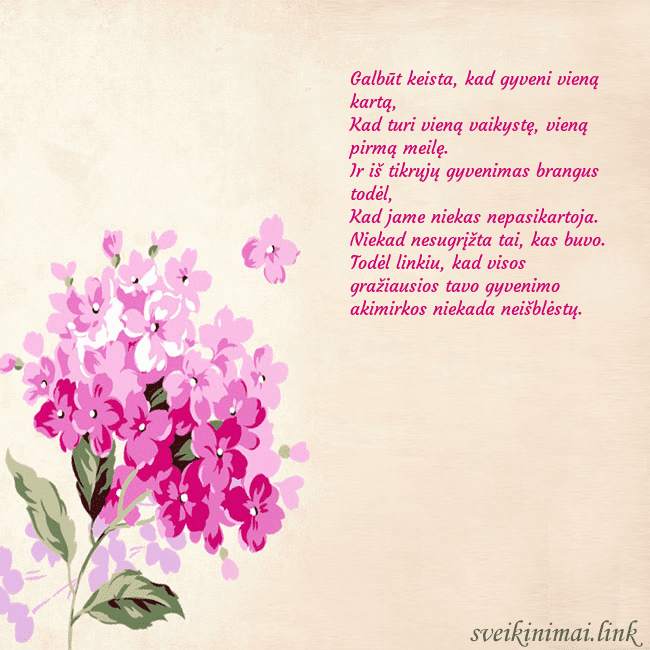 Gimtadienio atvirukas su piešta hortenzija