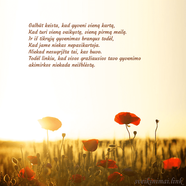 Elektroninė atvirutė su saulėje skendinčiu aguonų lauku