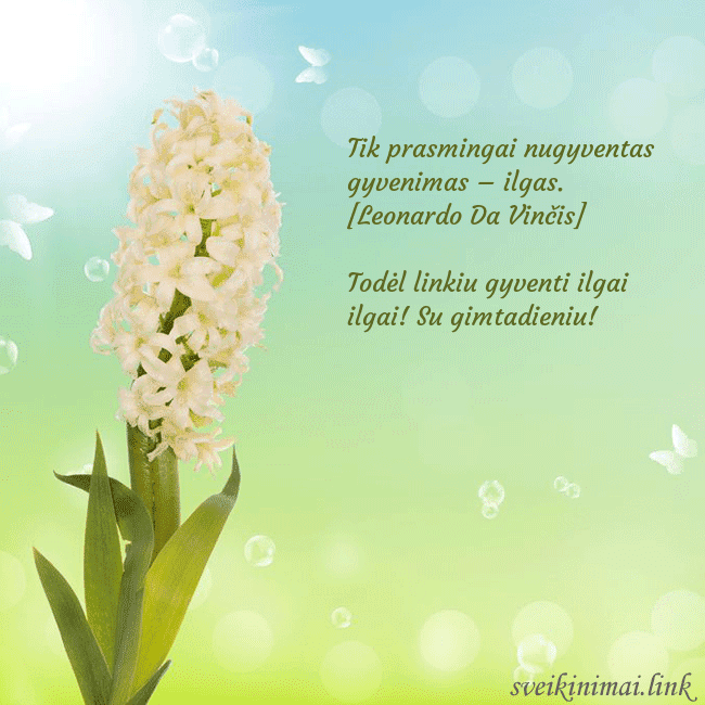 Atvirukas su hiacintu