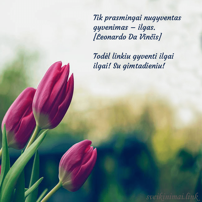 Atvirukas su trim raudonomis tulpėmis Tik prasmingai nugyventas gyvenimas – ilgas. [Leon Atvirukas su trim raudonomis tulpėmis