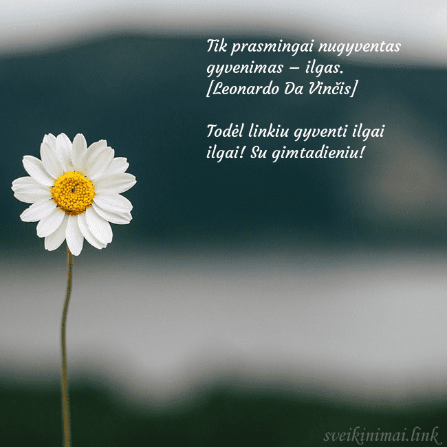 Elektroninis atvirukas su ramune Tik prasmingai nugyventas gyvenimas – ilgas. [Leon Elektroninis atvirukas su ramune