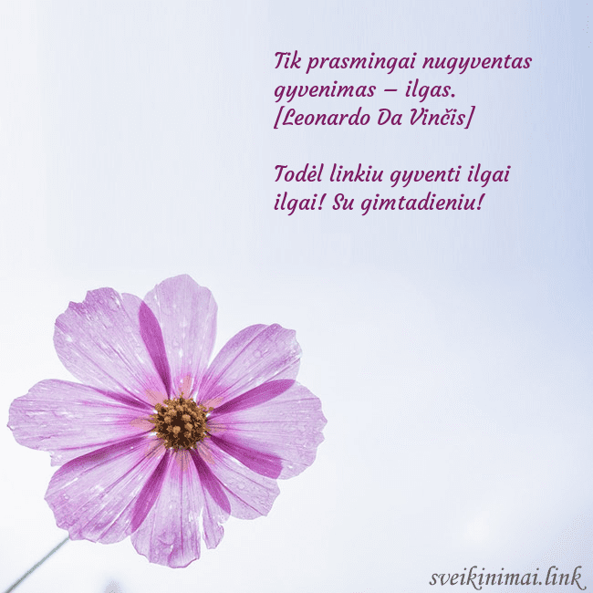 Elektroninė atvirutė su violetine gėle Tik prasmingai nugyventas gyvenimas – ilgas. [Leon Elektroninė atvirutė su violetine gėle