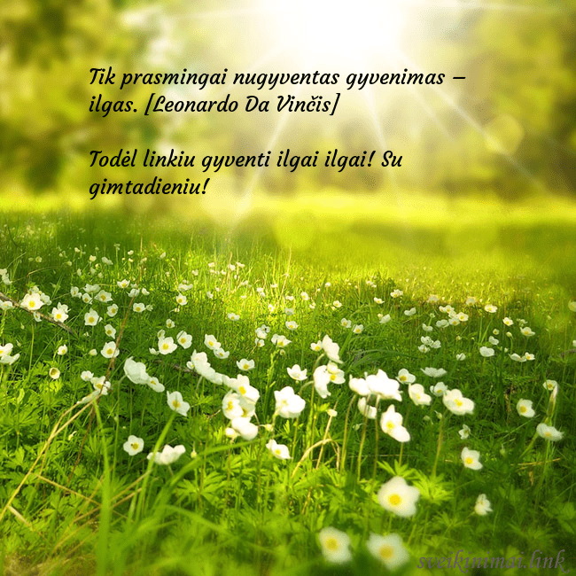 Elektroninė atvirutė su saulės spinduliuose skendinčia pieva Tik prasmingai nugyventas gyvenimas – ilgas. [Leon Elektroninė atvirutė su saulės spinduliuose skendinčia pieva