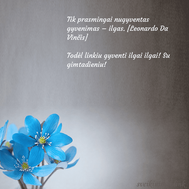 Atvirukas su žibuoklėmis Tik prasmingai nugyventas gyvenimas – ilgas. [Leon Atvirukas su žibuoklėmis