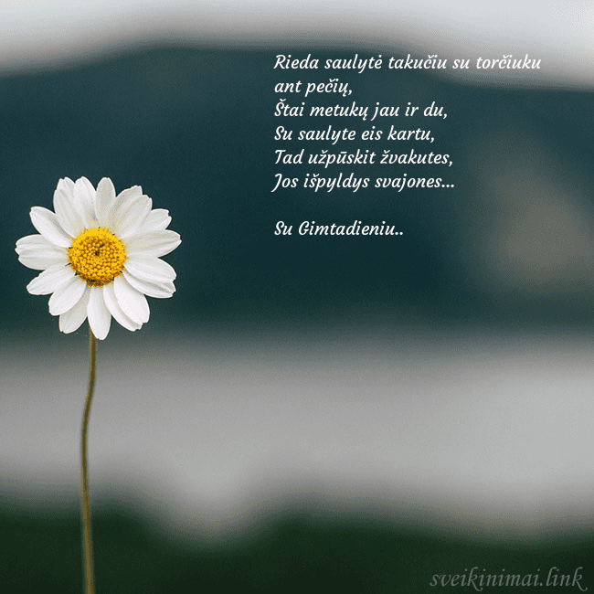 Elektroninis atvirukas su ramune Rieda saulytė takučiu su torčiuku ant pečių,
Štai  Elektroninis atvirukas su ramune