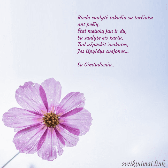 Elektroninė atvirutė su violetine gėle Rieda saulytė takučiu su torčiuku ant pečių,
Štai  Elektroninė atvirutė su violetine gėle