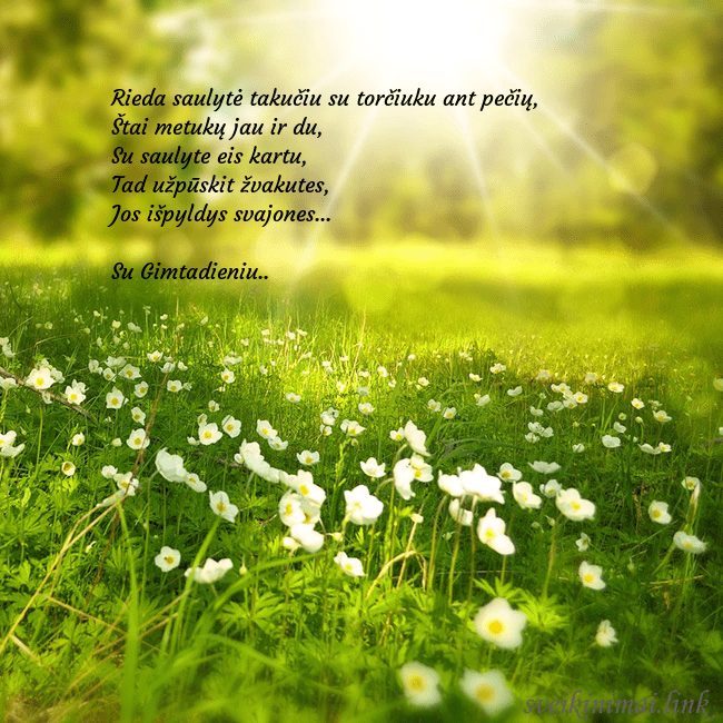 Elektroninė atvirutė su saulės spinduliuose skendinčia pieva