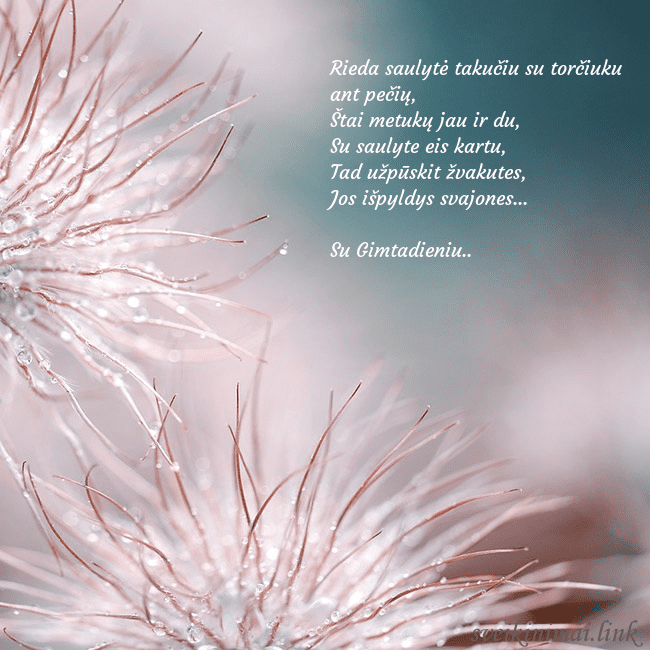 Atvirukas su pūkuotais augaliukais Rieda saulytė takučiu su torčiuku ant pečių,
Štai Atvirukas su pūkuotais augaliukais