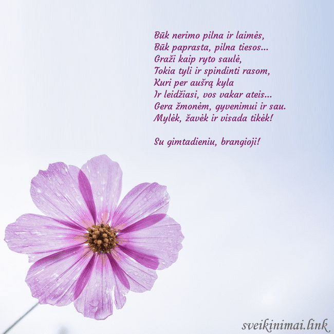 Elektroninė atvirutė su violetine gėle Būk nerimo pilna ir laimės,
Būk paprasta, pilna t Elektroninė atvirutė su violetine gėle