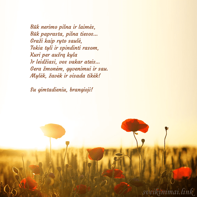 Elektroninė atvirutė su saulėje skendinčiu aguonų lauku