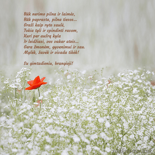 Elektroninis gimtadienio atvirukas su baltomis gėlėmis