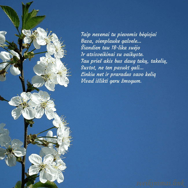 Atvirukas su pavasario žiedais Taip nesenai tu pievomis bėgiojai
Basa, vienplauk Atvirukas su pavasario žiedais
