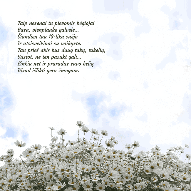 Atvirukas su ramunėmis Taip nesenai tu pievomis bėgiojai
Basa, vienplauk Atvirukas su ramunėmis