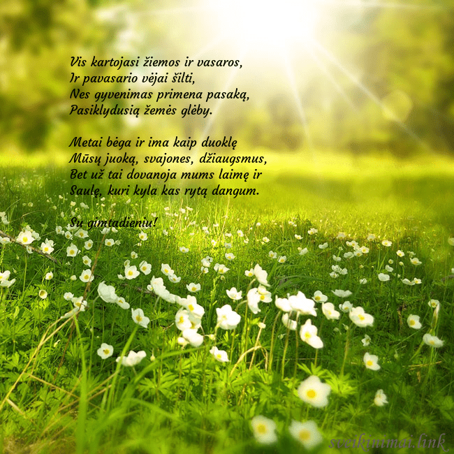 Elektroninė atvirutė su saulės spinduliuose skendinčia pieva