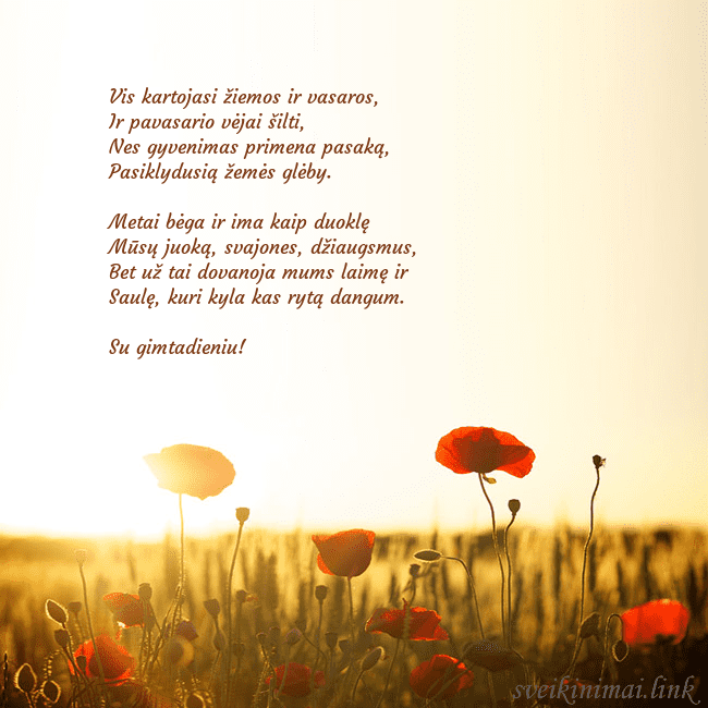 Elektroninė atvirutė su saulėje skendinčiu aguonų lauku