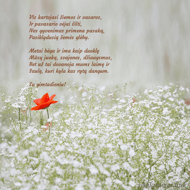 Elektroninis gimtadienio atvirukas su baltomis gėlėmis