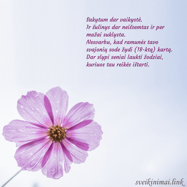 Elektroninė atvirutė su violetine gėle Sakytum dar vaikystė.
Ir šulinys dar neišsemtas ir Elektroninė atvirutė su violetine gėle