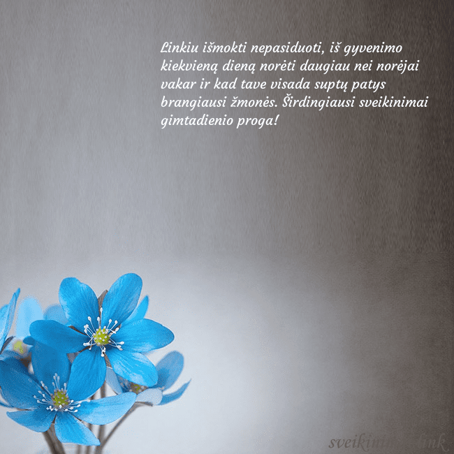 Atvirukas su žibuoklėmis Linkiu išmokti nepasiduoti, iš gyvenimo kiekvieną Atvirukas su žibuoklėmis