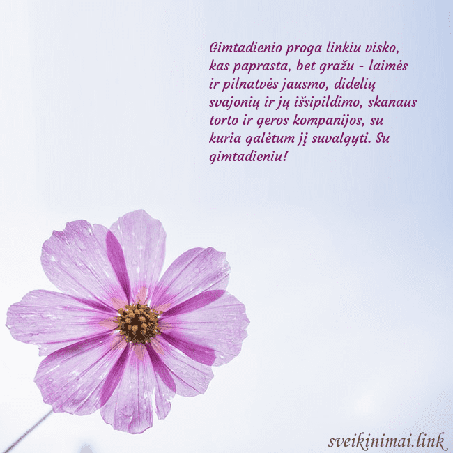 Elektroninė atvirutė su violetine gėle Gimtadienio proga linkiu visko, kas paprasta, bet Elektroninė atvirutė su violetine gėle