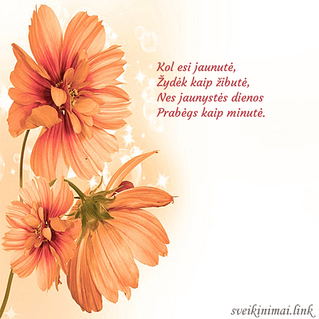 Atvirukas su oranžinėmis gėlėmis