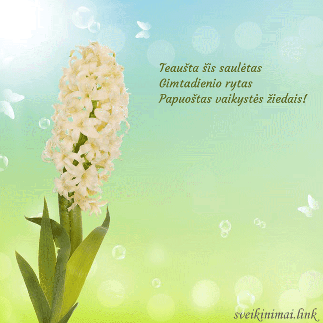 Atvirukas su hiacintu