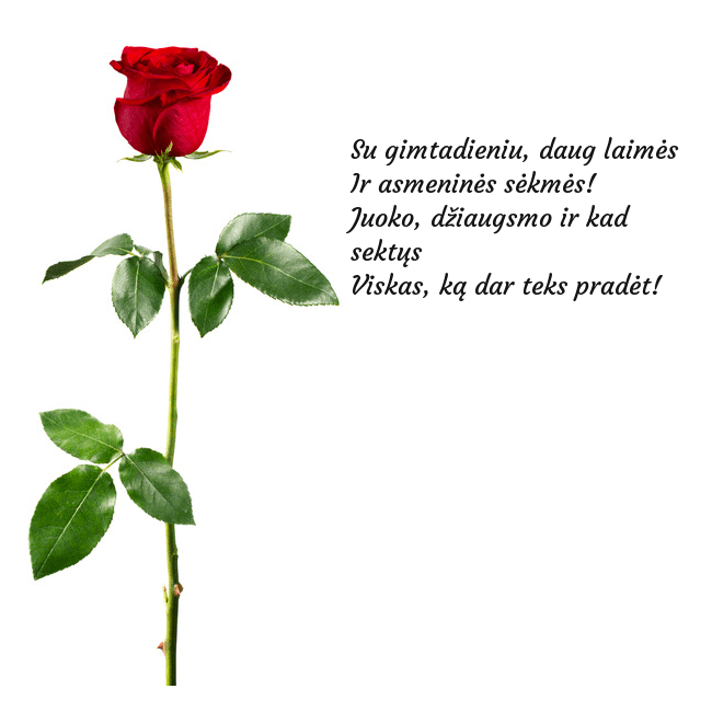 Atvirukas su raudona rože