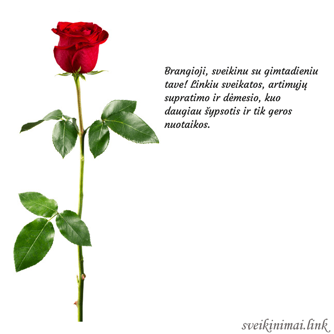 Atvirukas su raudona rože Brangioji, sveikinu su gimtadieniu tave! Linkiu sv Atvirukas su raudona rože