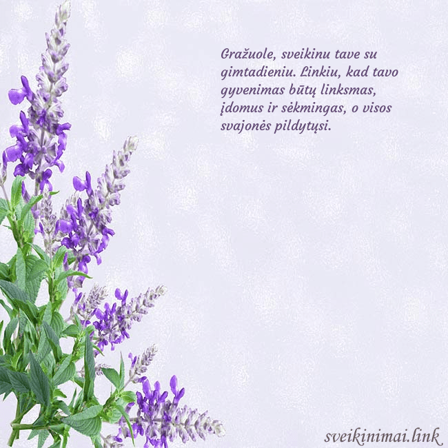 Gimtadienio atvirukas su lubinais Gražuole, sveikinu tave su gimtadieniu. Linkiu, ka Gimtadienio atvirukas su lubinais