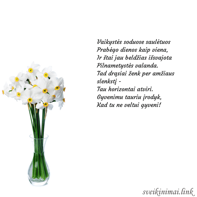 Atvirukas su narcizais Vaikystės soduose saulėtuos 
Prabėgo dienos kaip  Atvirukas su narcizais