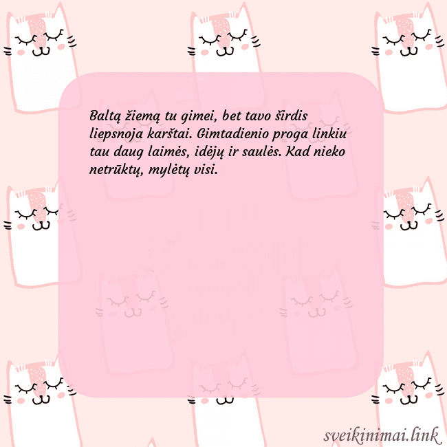 Rožinis gimtadienio atvirukas su juokingais katinais