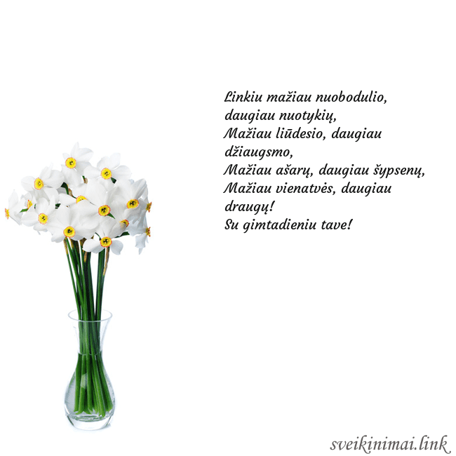 Atvirukas su narcizais