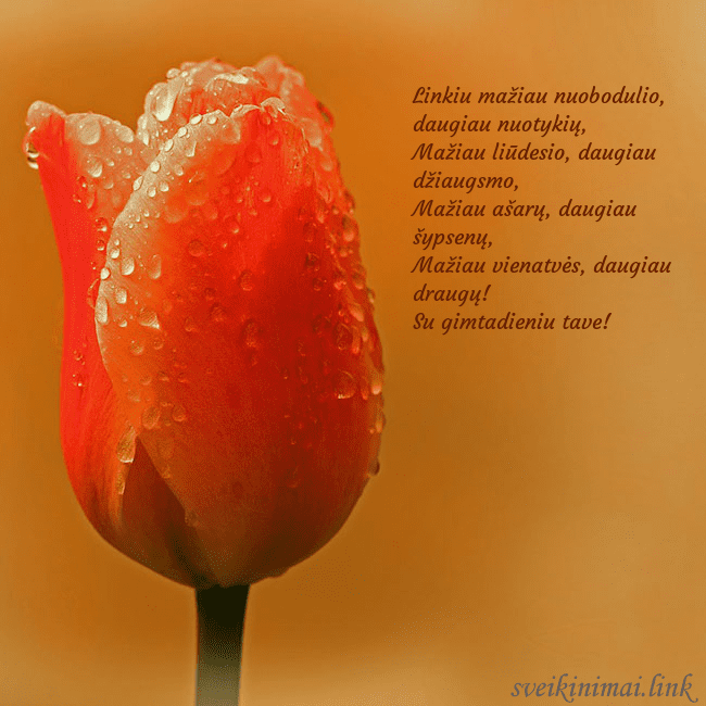 Gimtadienio atvirukas su raudona tulpe Linkiu mažiau nuobodulio, daugiau nuotykių,
Mažia Gimtadienio atvirukas su raudona tulpe