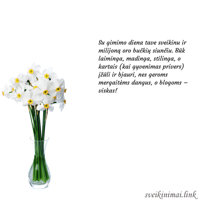 Atvirukas su narcizais