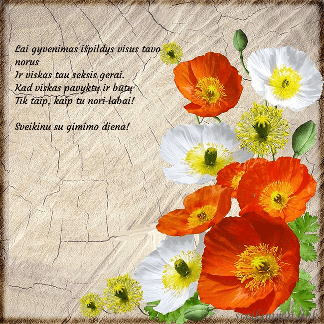 Atvirukas su aguonomis Lai gyvenimas išpildys visus tavo norus
Ir viskas Atvirukas su aguonomis