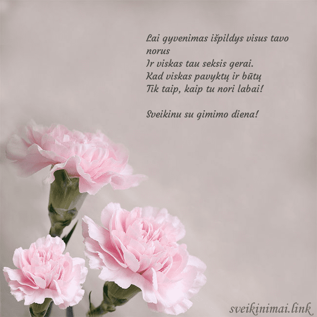 Atvirukas su rožiniais gvazdikais Lai gyvenimas išpildys visus tavo norus
Ir viskas Atvirukas su rožiniais gvazdikais