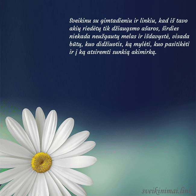 Gimtadienio atvirukas su didele ramune Sveikinu su gimtadieniu ir linkiu, kad iš tavo aki Gimtadienio atvirukas su didele ramune