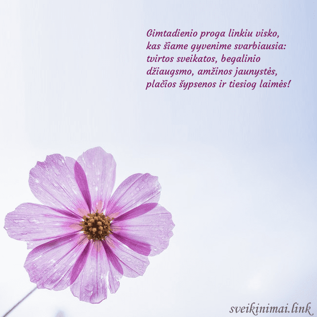 Elektroninė atvirutė su violetine gėle Gimtadienio proga linkiu visko, kas šiame gyvenime Elektroninė atvirutė su violetine gėle