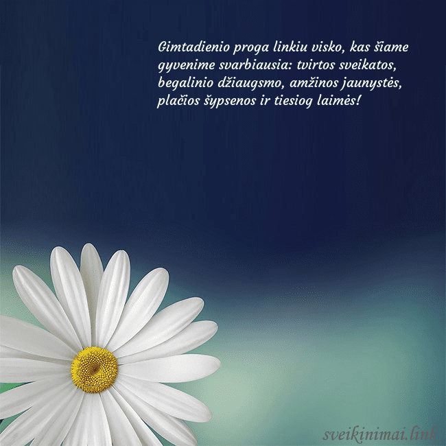 Gimtadienio atvirukas su didele ramune Gimtadienio proga linkiu visko, kas šiame gyvenime Gimtadienio atvirukas su didele ramune
