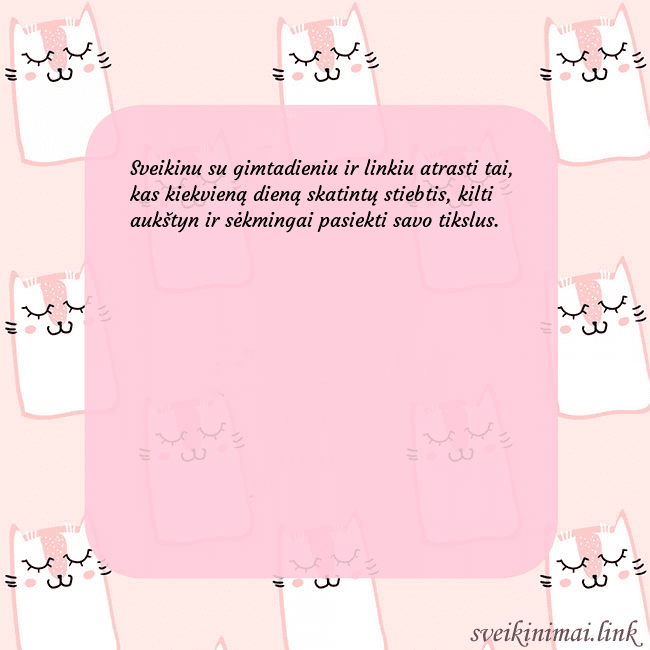 Rožinis gimtadienio atvirukas su juokingais katinais