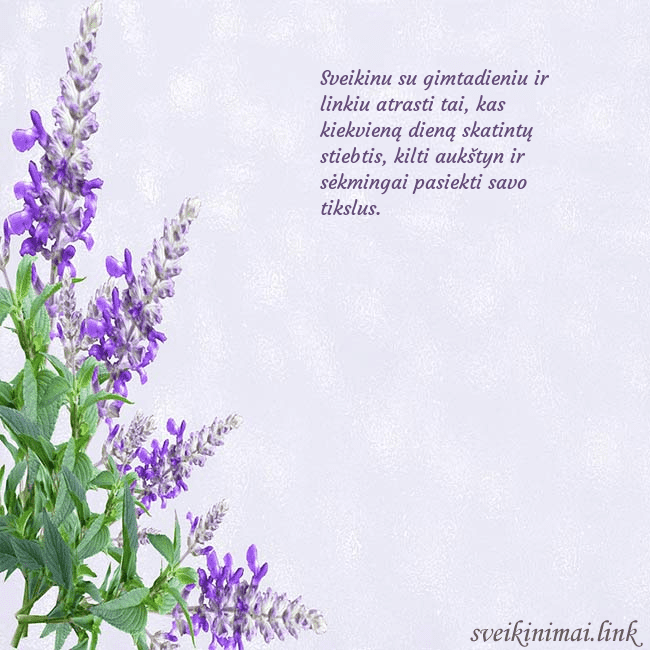 Gimtadienio atvirukas su lubinais Sveikinu su gimtadieniu ir linkiu atrasti tai, kas Gimtadienio atvirukas su lubinais