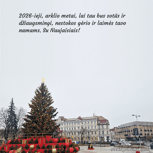 Vilniaus kalėdinė eglutė 2025