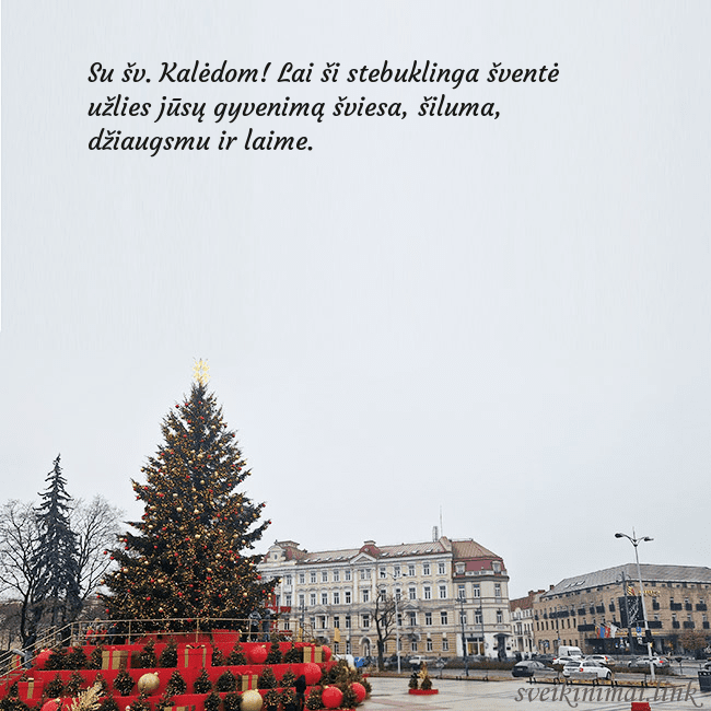 Vilniaus kalėdinė eglutė 2025