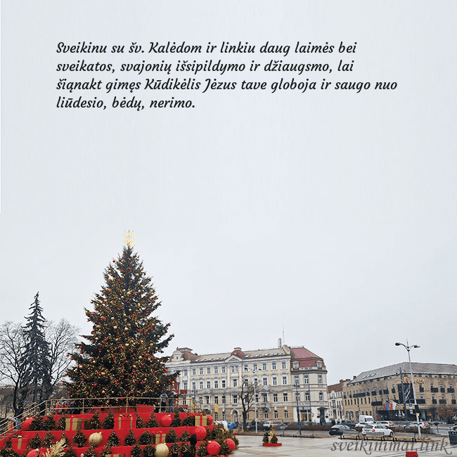 Vilniaus kalėdinė eglutė 2025