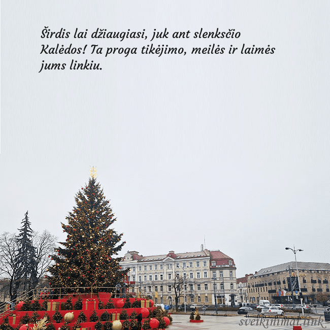 Vilniaus kalėdinė eglutė 2025