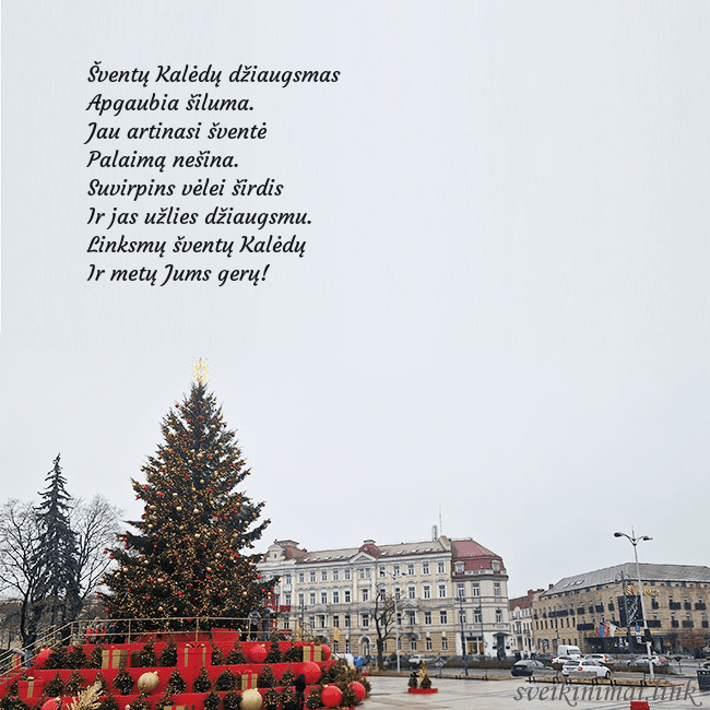 Vilniaus kalėdinė eglutė 2025