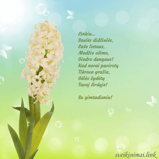 Atvirukas su hiacintu