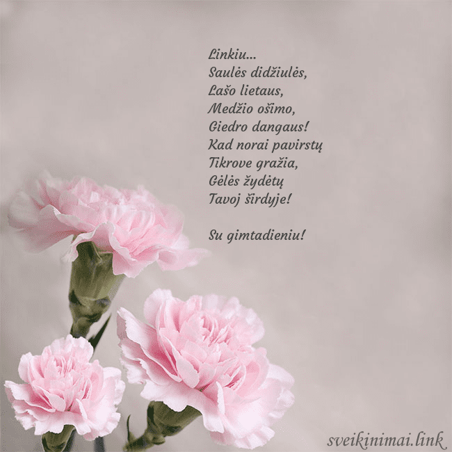 Atvirukas su rožiniais gvazdikais