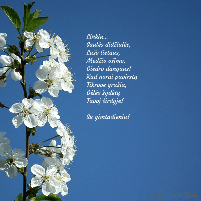 Atvirukas su pavasario žiedais Linkiu...
Saulės didžiulės,
Lašo lietaus,
Medži Atvirukas su pavasario žiedais