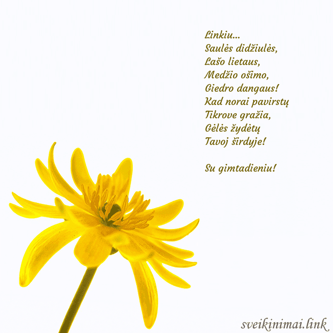 Atvirukas su geltona gėle