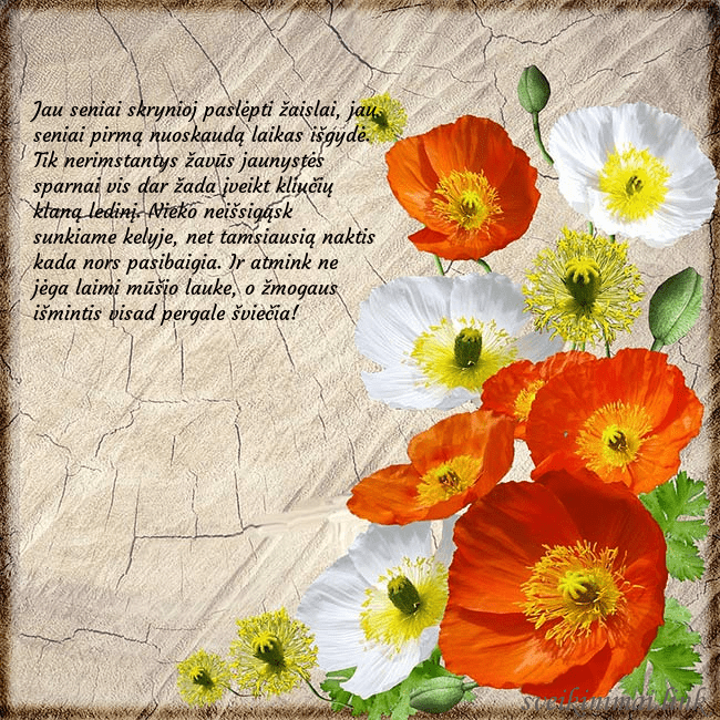 Atvirukas su aguonomis Jau seniai skrynioj paslėpti žaislai, jau seniai p Atvirukas su aguonomis